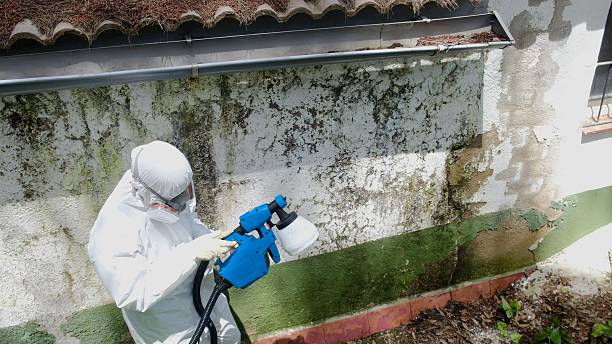 Clearance testing in Grampian